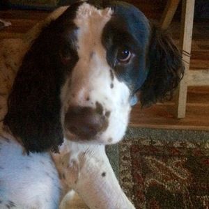 Meet your Posher, Chelsea